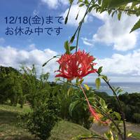 12/18までお休み中です 2020/12/07 14:32:06