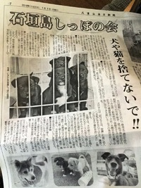 今更ですが、戌年の2018年 2018/01/18 00:57:15