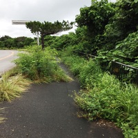 お盆休みも終わり...毎日暑い石垣島 2017/08/16 09:17:44