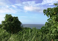 夏至南風「カーチバイ」吹き、梅雨明けか？！ 2017/06/21 09:35:15