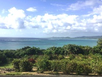 気持ちいい毎日ですin石垣島 2018/03/30 17:50:10