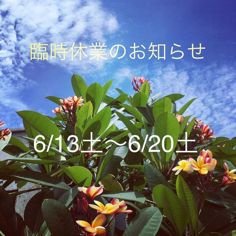 6/13(土)～6/20(土) 臨時休業です