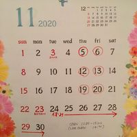 10月も終わりますね～11月のスケジュールです 2020/10/29 22:39:40