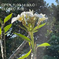 オープン13周年の記念日が過ぎていました 2021/04/12 22:26:43
