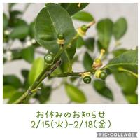 2022/02/15(火)～02/18(金)お休みします 2022/02/14 19:56:36