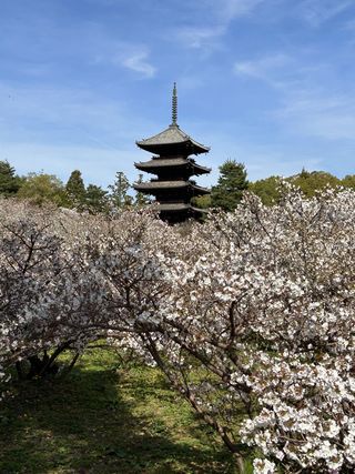 2024年も大変お世話になりありがとうございました。