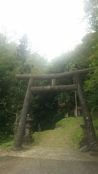 シーミー時期です