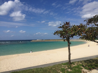 昼休み 2019/11/11 16:09:44