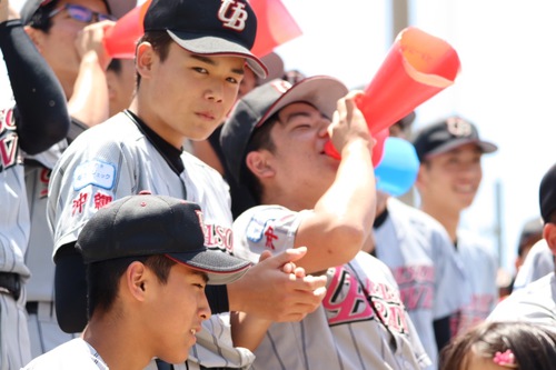 第19回全日本中学野球選手権　沖縄予選（ジャイアンツカップ）