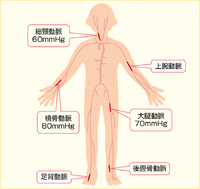 3月19日　新しく・・ 2018/03/19 18:00:00