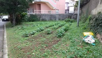 朝活　１２月③　２０２１ 2021/12/26 18:34:28