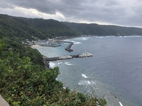 やんばる学びの森キャンプ場へ