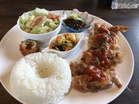 森CAFE　樹音