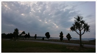 平日練習