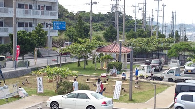 チャーンの展示はじまってまーすヽ(´▽｀)/