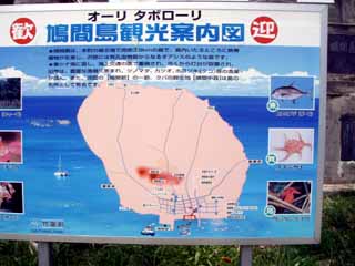 鳩間島に行ってきました