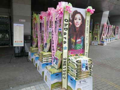 8月27日　韓国で2ne1　コンサート