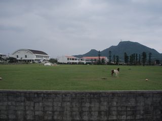国境の島　与那国