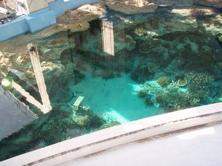 海洋博公園で三線を弾きまくり！