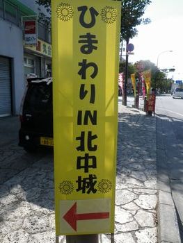 沖縄では、ひまわりが咲いてます！