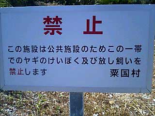 ぶらり粟国島