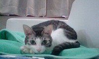 帰省準備中ー。 2008/04/30 21:30:39