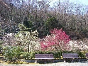 博物館　明治村