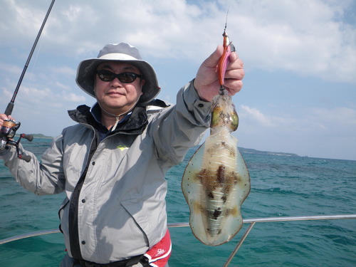 烏賊はぼちぼち釣れてます