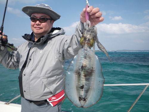 烏賊はぼちぼち釣れてます