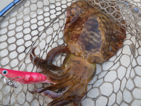 初釣り！