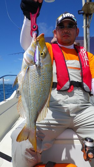 ＧＯＯＤサイズのタマンも釣れてますよ～♪