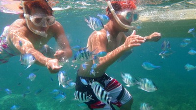 最近の釣果です