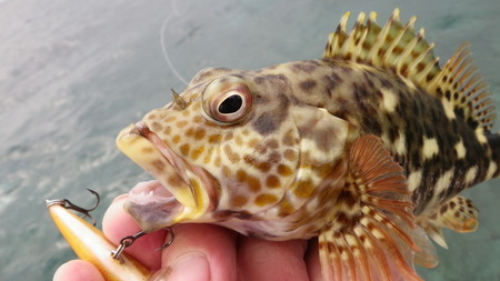 今年の初釣り