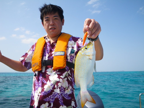 最近の釣果です