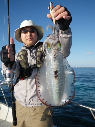 出ました～♪★アオリ１．９キロ★