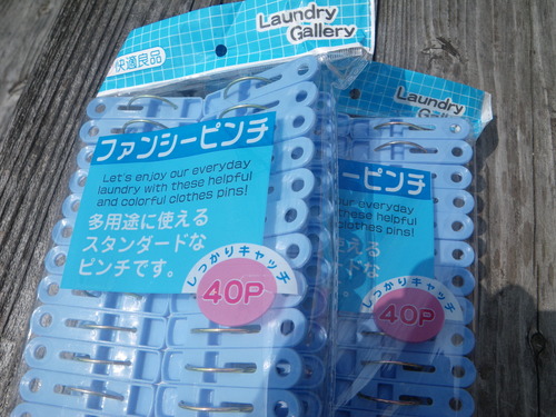 最近の釣果です