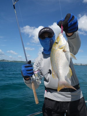 釣果情報　ＰＡＲＴ ４