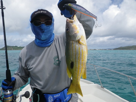釣果情報　ＰＡＲＴ ４