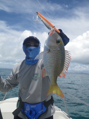 釣果情報　ＰＡＲＴ ４
