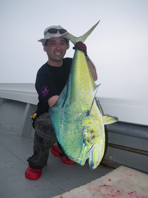 パヤオツアーの釣果情報です