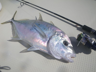 ６月２４～２６日までの釣果ダイジェストです！