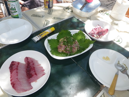 最近の釣果　ＰＡＲＴ ２