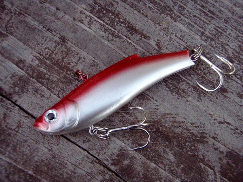 最近の釣果です