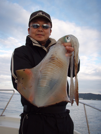 最近の釣果です