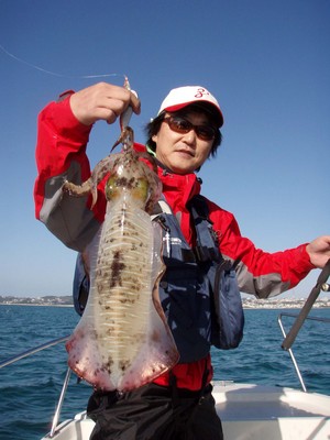 最近の釣果です