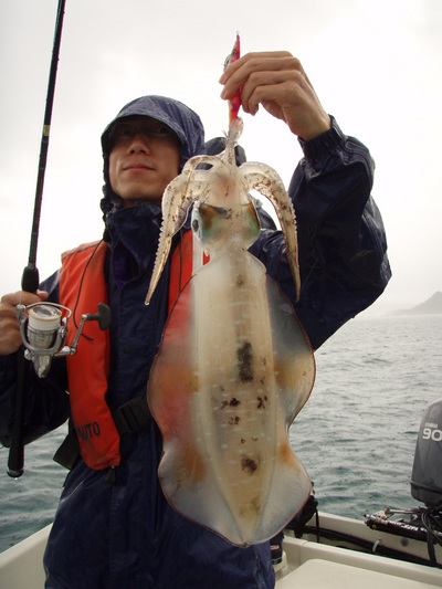 最近の釣果です