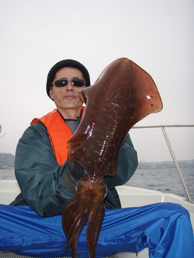 海風釣果情報ダイジェスト版
