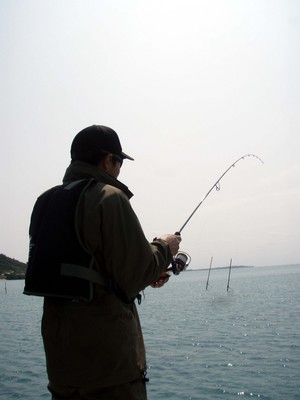 3月１２日の、釣果です。