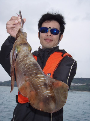 海風ボートエギング釣果情報