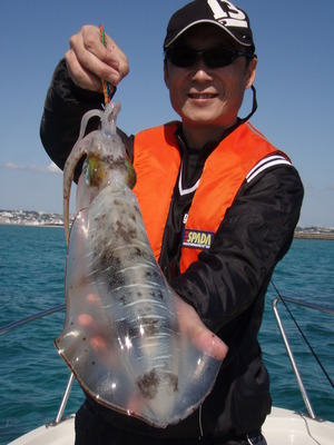 海風ボートエギング釣果情報